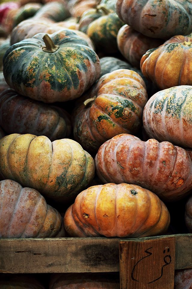 benchbags_food_autumn_pumpkin