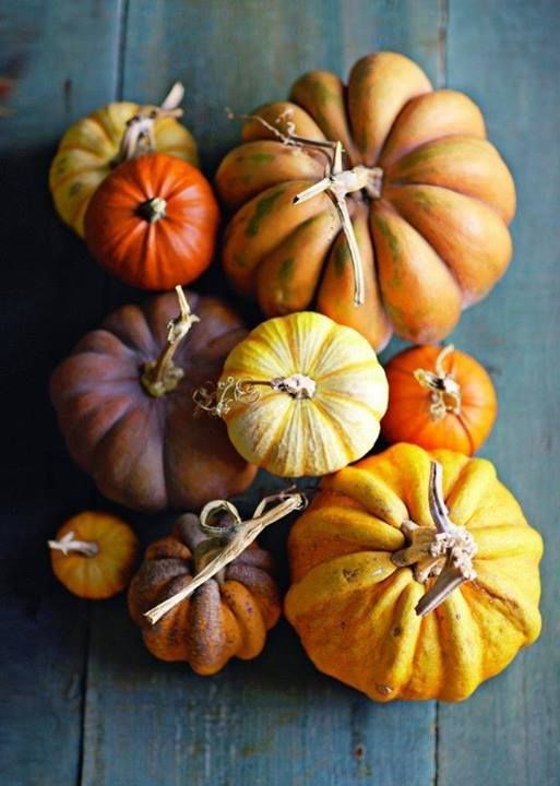 benchbags_food_autumn_pumpkin0